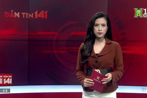 Bản tin 141 (ngày 11/04/2023)