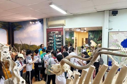 Rà soát, chấn chỉnh hoạt động ngoại khóa