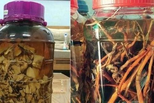Hai người tử vong nghi do uống rượu thuốc tự ngâm