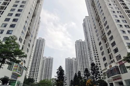 Người mua đang chuộng phân khúc bất động sản nào nhất?