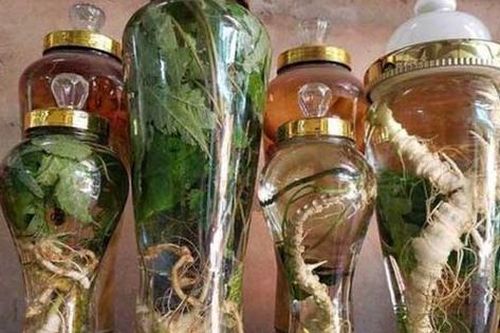 Nhân các vụ ngộ độc do rượu thuốc, bác sĩ khuyến cáo người dân không tự ý ngâm dùng