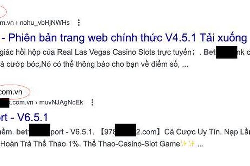 Bộ Thông tin và Truyền thông đề nghị người dùng tra cứu tên miền, tránh bị lừa đảo