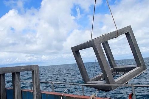 Cà Mau: Thả rạn nhân tạo góp phần tái tạo nguồn lợi thủy sản