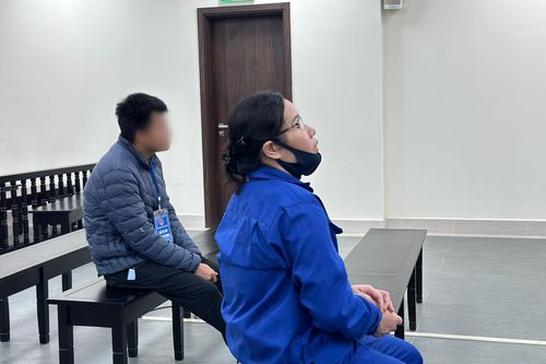 Lừa tiền tỷ, người phụ nữ lĩnh 24 năm tù