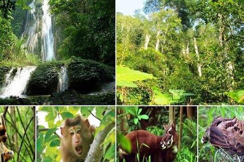 Kế hoạch tổ chức thẩm định Quy hoạch bảo tồn đa dạng sinh học quốc gia