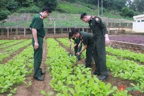 Quân, dân tỉnh Sơn La góp sức người, sức của trong Chiến dịch Thượng Lào