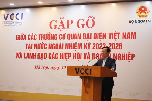 VCCI đề nghị các đại diện Việt Nam ở nước ngoài hỗ trợ DN hội nhập