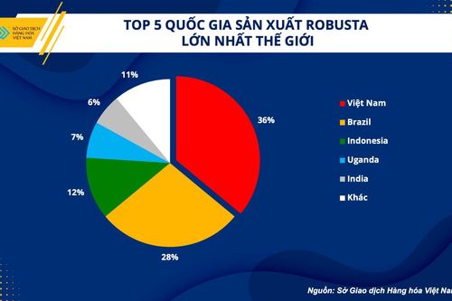 Xuất khẩu cà phê Việt Nam tận dụng cơ hội trong bối cảnh mới