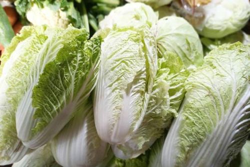 4 nhóm người 'đại kỵ' với cải thảo, thèm đến mấy cũng không nên ăn