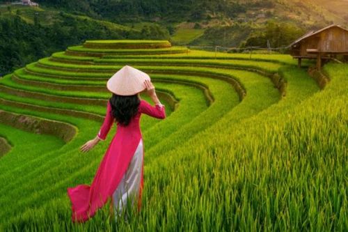 Việt Nam lọt top 5 điểm đến cho mùa hè