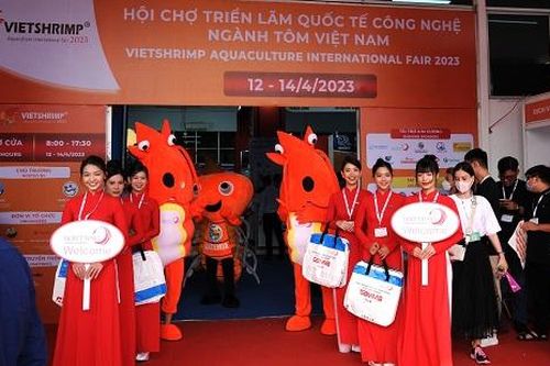 Nâng tầm chuỗi giá trị tôm Việt Nam