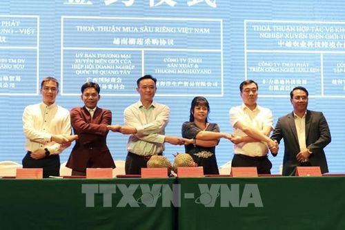 Thúc đẩy hợp tác thương mại giữa Việt Nam và tỉnh Quảng Tây (Trung Quốc)