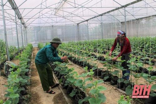 Đẩy mạnh phát triển nông nghiệp theo hướng công nghệ cao