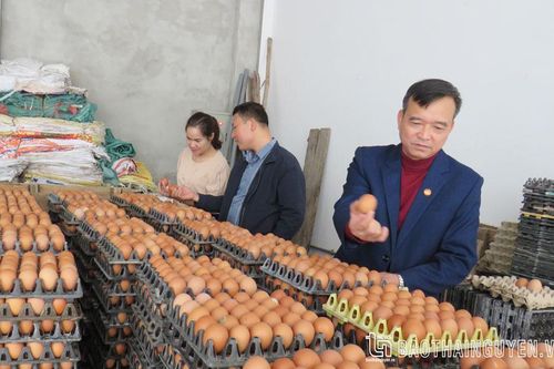 Người cán bộ mặt trận tâm huyết với việc chung