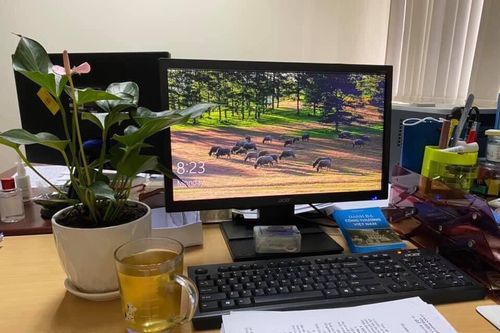 Chi đoàn Vụ Thị trường trong nước lan tỏa tinh thần xanh - sạch - đẹp