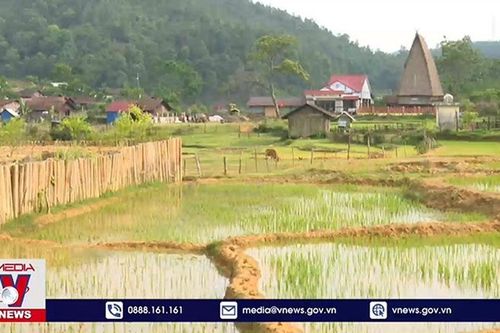 Kon Tum: Chấn chỉnh tình trạng vi phạm đất đai ở Kon Plông
