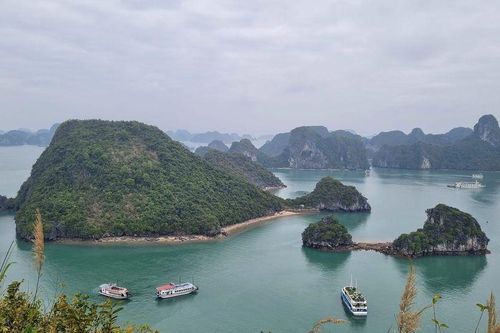 Nghịch lý ?