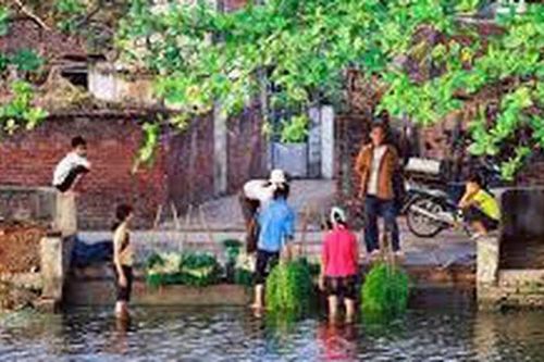 Văn hóa cầu ao