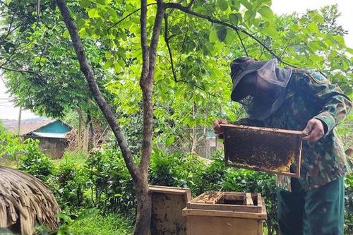Một xã biên giới có 160 mô hình kinh tế thu nhập trên 100 triệu đồng