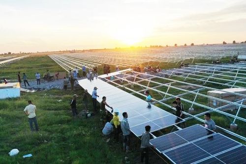 Nhóm doanh nghiệp điện mặt trời thuộc Xuân Thiện Group báo lợi nhuận giảm mạnh và lỗ