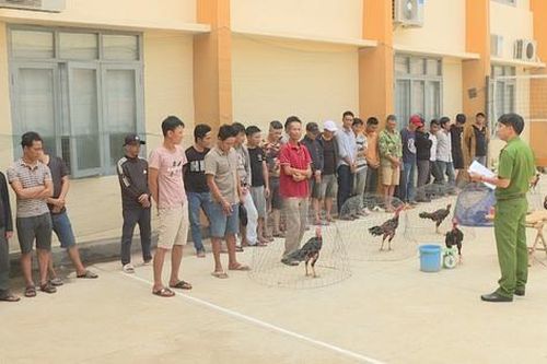 Triệt phá sới đá gà ăn tiền, bắt giữ 34 đối tượng