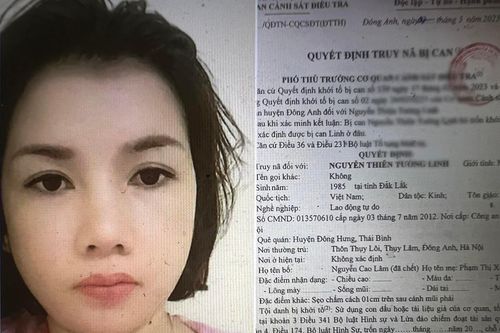 Truy nã nữ kế toán điện lực lừa đảo chiếm đoạt tài sản