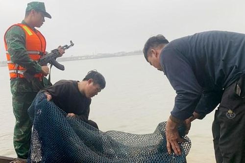 Bắt giữ 2 tàu giã cào đánh bắt hải sản sai vùng biển quy định