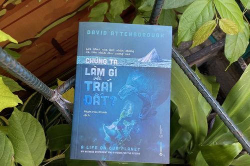 'Chúng ta làm gì với Trái Đất?'