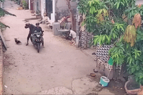 Trộm chó dọa bắn người dân ở TP.HCM