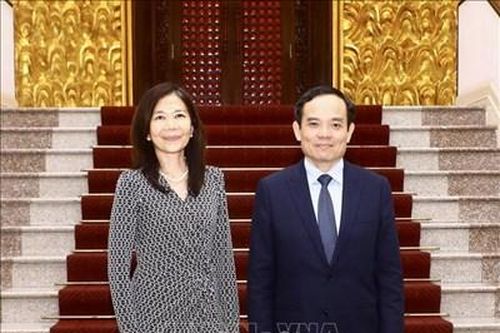 Liên hợp quốc cam kết sẽ tiếp tục sát cánh, đồng hành với Việt Nam