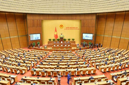 Không tùy tiện!
