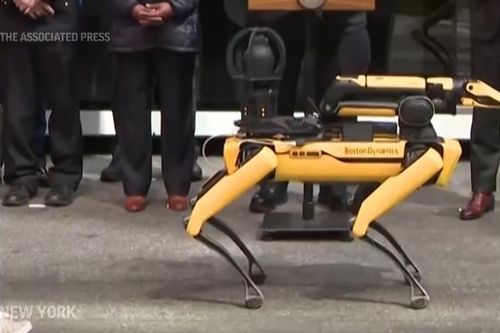 Xem chó robot trợ giúp cảnh sát New York làm nhiệm vụ