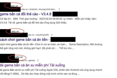 Gần 170 trang giáo dục tại Việt Nam bị cài nội dung cá độ, cờ bạc