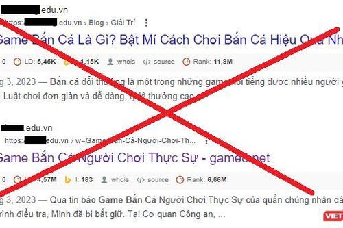 Gần 170 trang giáo dục tên miền edu.vn tại Việt Nam bị cài nội dung liên quan đến cá độ, cờ bạc