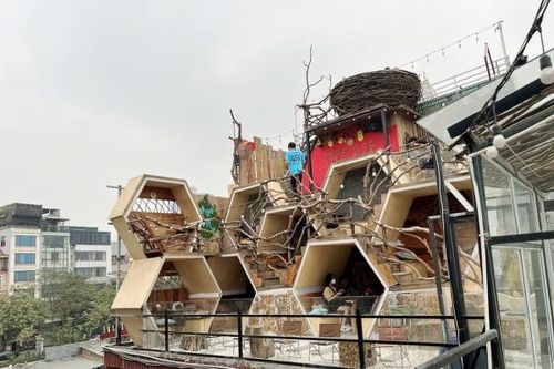Quán cafe 'tổ ong' tại Hà Nội: Hút khách bởi sự độc đáo