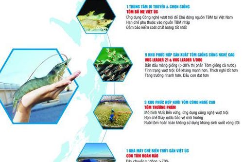 Việt Úc với khát vọng nâng tầm tôm Việt thông qua chuỗi giá trị khép kín