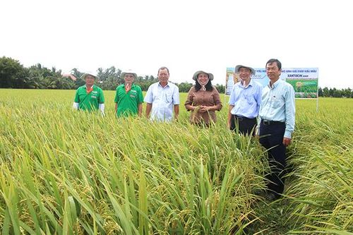 Tái cơ cấu nông nghiệp theo hướng phát triển chuỗi ngành hàng chủ lực