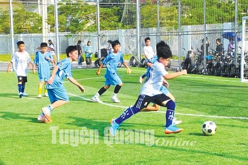 Đa dạng sân chơi thể thao học đường