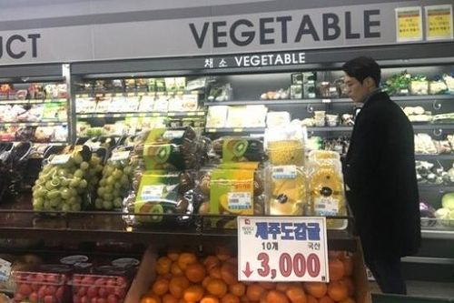 Việt Nam - Hàn Quốc còn nhiều dư địa thúc đẩy ngành công nghiệp thực phẩm phát triển