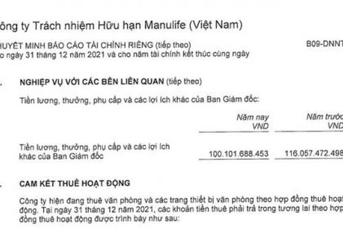 Manulife Việt Nam chi trăm tỷ cho công ty mẹ, thua lỗ triền miên