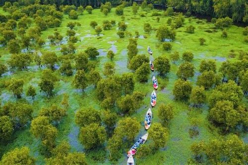Phê duyệt Kế hoạch thẩm định Quy hoạch bảo tồn đa dạng sinh học quốc gia
