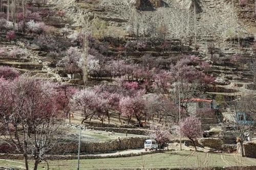 Mùa xuân ở Hunza đẹp đến say mê