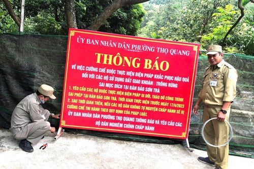 Tiếp tục cưỡng chế loạt công trình sai phạm trên bán đảo Sơn Trà