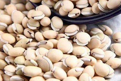 Bài thuốc từ đậu ván trắng giúp hạ nhiệt, giải độc