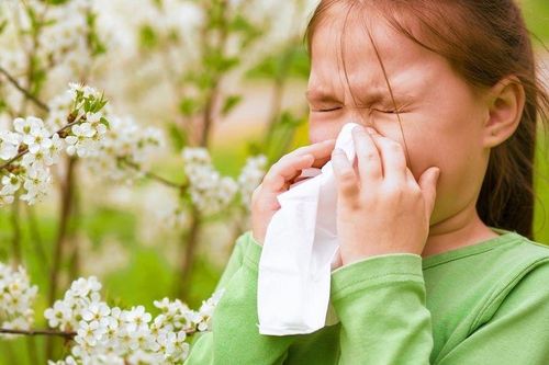 Những nguyên nhân gây dị ứng phấn hoa ở trẻ nhỏ