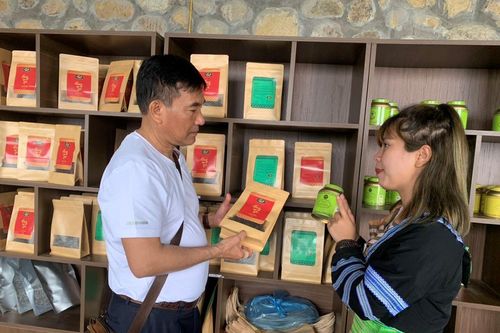 Phát triển mô hình và nguồn nhân lực du lịch canh nông