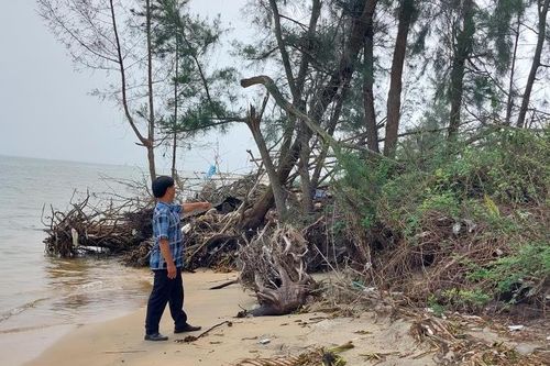 Khi làng trôi ra biển...
