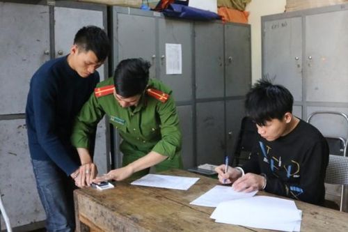 Lào Cai: Khởi tố 2 đối tượng khai thác trái phép cây gỗ pơ mu trong rừng tự nhiên Sa Pa