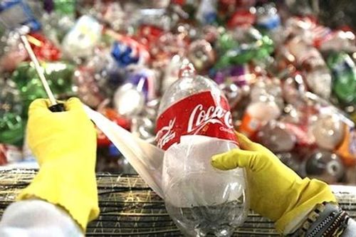 Áp dụng kinh tế tuần hoàn: Nhiều cơ hội cho doanh nghiệp đồ uống