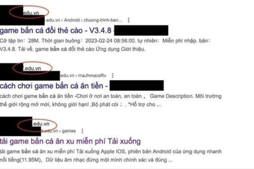 Gần 170 trang giáo dục tên miền edu.vn tại Việt Nam bị chèn nội dung quảng cáo cờ bạc